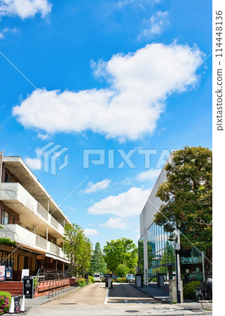 東京澀谷區新綠代官山T-SITE附近的風景 114448136