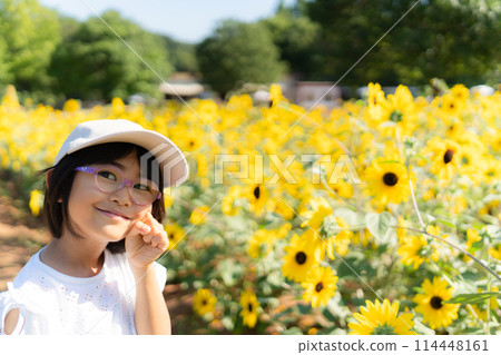 向日葵 向日葵 兒童 114448161