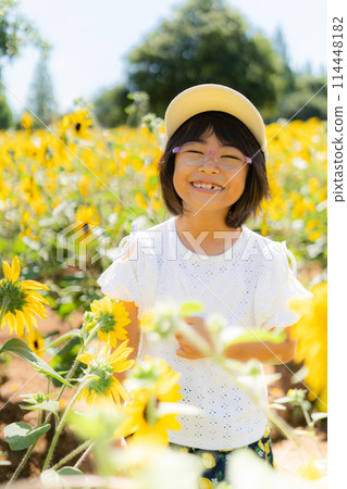 sunflower sunflower child 114448182
