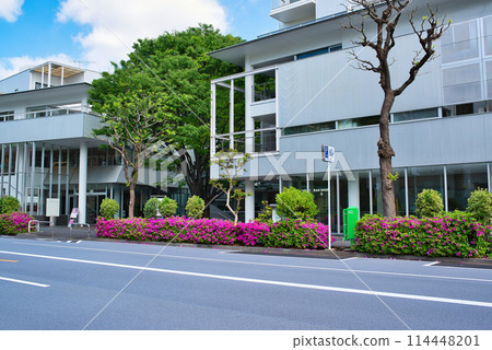 Scenery of fresh greenery near Daikanyama T-SITE in Shibuya Ward, Tokyo Scenery of fresh greenery near Daikanyama T-SITE in Shibuya Ward, Tokyo 114448201
