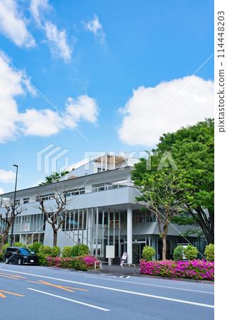 Scenery of fresh greenery near Daikanyama T-SITE in Shibuya Ward, Tokyo Scenery of fresh greenery near Daikanyama T-SITE in Shibuya Ward, Tokyo 114448203
