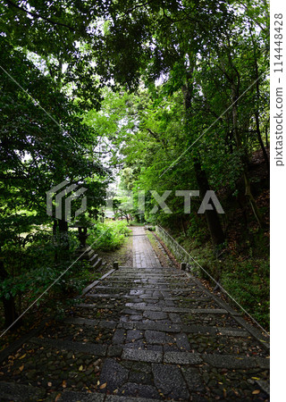 Fresh greenery at Chishaku-in Temple Fresh greenery at Chishaku-in Temple 114448428