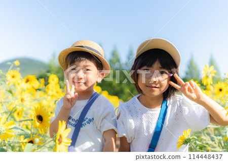 sunflower sunflower child 114448437