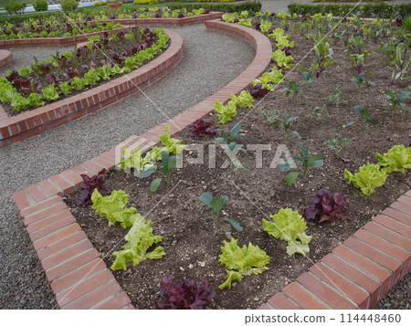 波塔格(圖) 波塔格(圖) 114448460