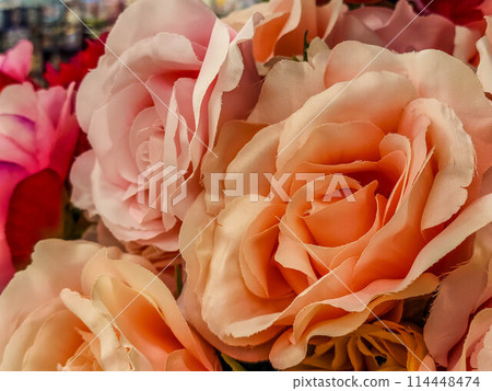 Fake Flowers: Eternal Colors 114448474
