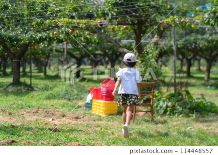 摘梨子的兒童照片 114448557