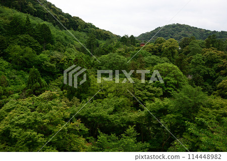 Kiyomizu-dera Temple: Fresh greenery in Kinunkei Kiyomizu-dera Temple: Fresh greenery in Kinunkei 114448982