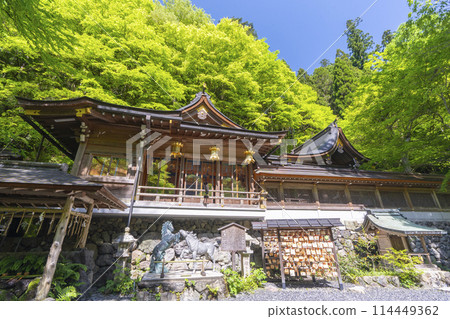 鮮綠色的貴船神社正殿 114449362