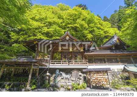 鮮綠色的貴船神社主殿參拜殿與正殿 114449370