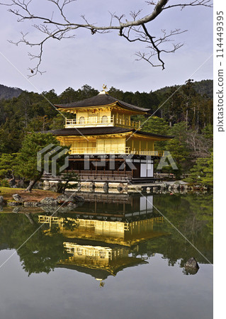 Kinkakuji (Kaenji temple) Shara and Mirako pond 114449395