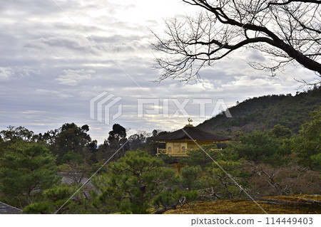 金閣寺(Kaenji Temple)Shurikoji 金閣寺(Kaenji Temple)Shurikoji 114449403