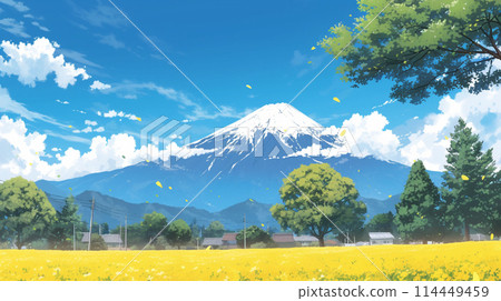 黃色花田和富士山的景色 114449459