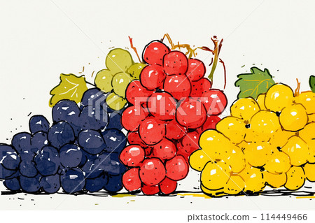 Different types of grapes lined up 114449466