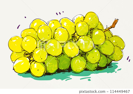 Harvested grapes 114449467