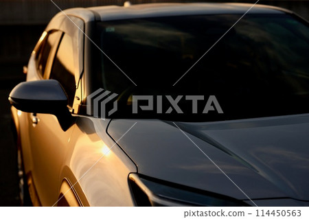 Car in the morning sun 114450563