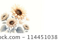 Sunflower background material 114451038