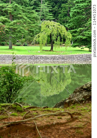 毛越寺/大泉池 毛越寺/大泉池 114451073