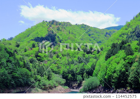 五月的木曾街道 114452575