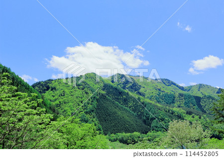 五月的木曾街道 五月的木曾街道 114452805