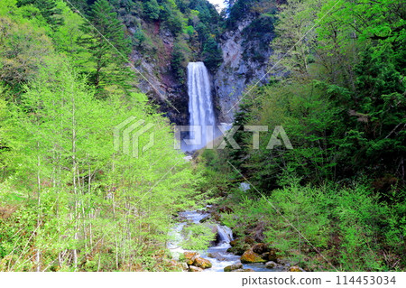 五月的平湯大瀧 114453034