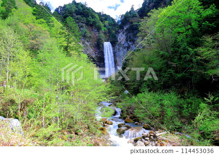 五月的平湯大瀧 114453036