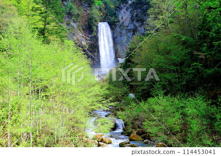 Hirayu Falls in May Hirayu Falls in May 114453041