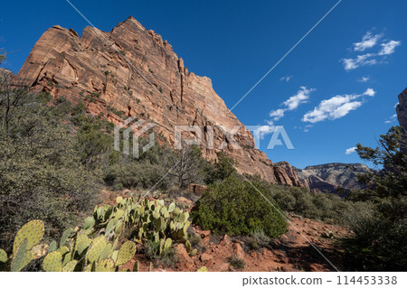 錫安國家公園，陡峭的懸崖 114453338