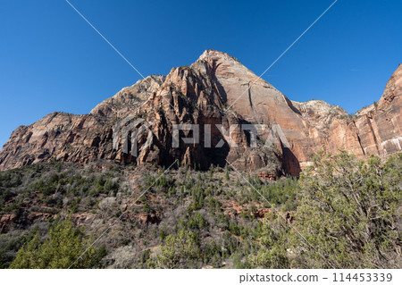 錫安國家公園,陡峭的懸崖 錫安國家公園,陡峭的懸崖 114453339