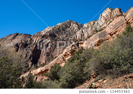 Zion National Park: a treasure trove of rock art with its steep rocky mountains Zion National Park: a treasure trove of rock art with its steep rocky mountains 114453363