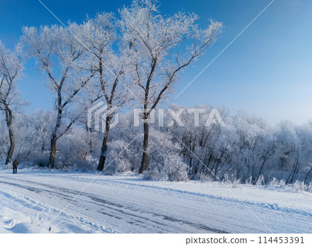 Winter beautiful landscape with trees covered with hoarfrost. Winter beautiful landscape with trees covered with hoarfrost. 114453391