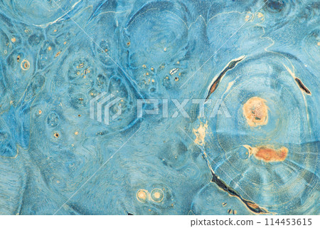 The background with the texture of a tree on a slice of an unsaturated dark blue color. 114453615