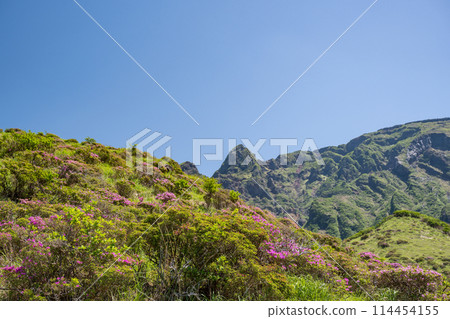 Miyama Kirishima blooming in Aso Sensuikyo in fine weather Miyama Kirishima blooming in Aso Sensuikyo in fine weather 114454155