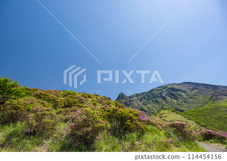 Miyama Kirishima blooming in Aso Sensuikyo in fine weather Miyama Kirishima blooming in Aso Sensuikyo in fine weather 114454156