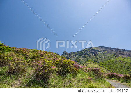 Miyama Kirishima blooming in Aso Sensuikyo in fine weather Miyama Kirishima blooming in Aso Sensuikyo in fine weather 114454157
