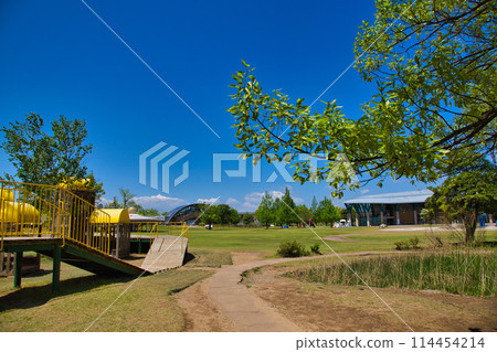 Spring park with beautiful fresh greenery Spring park with beautiful fresh greenery 114454214