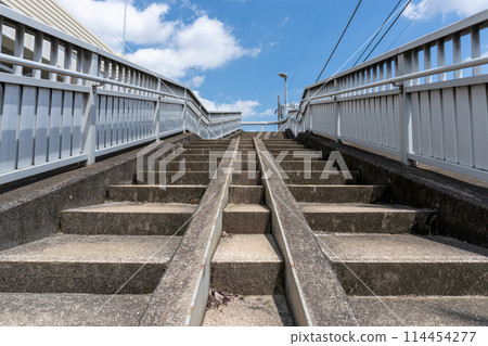 首都高速川口線伊奈公園河口周邊（赤山歷史自然公園） 114454277