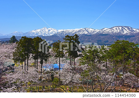 新潟縣上越市高田城跡公園的櫻花和妙高山 新潟縣上越市高田城跡公園的櫻花和妙高山 114454300