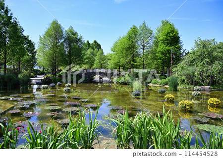 Mizunomori 114454528