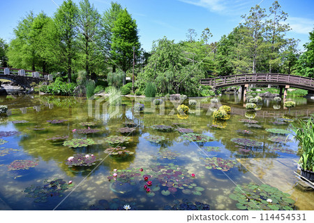 Mizunomori 114454531