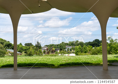 川口伊奈公園(赤山歷史自然公園) 川口伊奈公園(赤山歷史自然公園) 114454587