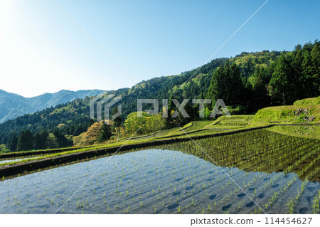 Early summer rice terraces in the Hata area of Takashima City, Shiga Prefecture 114454627