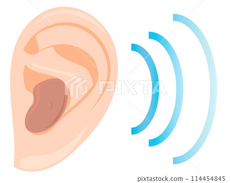 Hearing aid 114454845