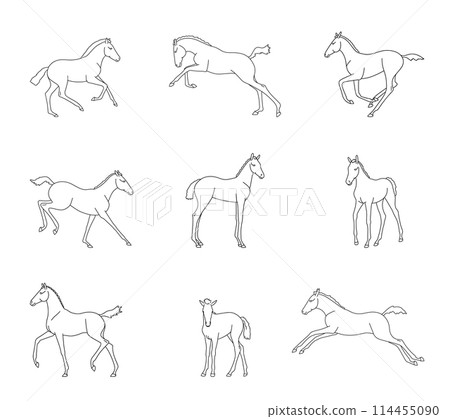 Collection of fools, different phases of movement Collection of fools, different phases of movement 114455090