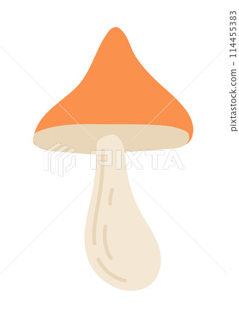 Forest mushroom in flat design. Cute raw autumn fungus with orange cap. Vector illustration isolated. 114455383