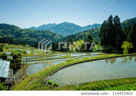 Early summer rice terraces in the Hata area of Takashima City, Shiga Prefecture Early summer rice terraces in the Hata area of Takashima City, Shiga Prefecture 114455402