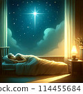Starry sky and slumber 114455684
