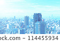 大阪 城市 城鎮 114455934