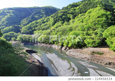 丹波川和新綠 丹波川和新綠 114456314