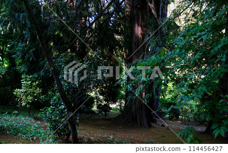 Victoria, British Columbia, Canada Tourists at Butchart Gardens Sunken Garden. High quality 114456427