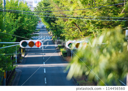 Horikawa-dori in the early morning 114456560